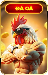 23WIN đá gà